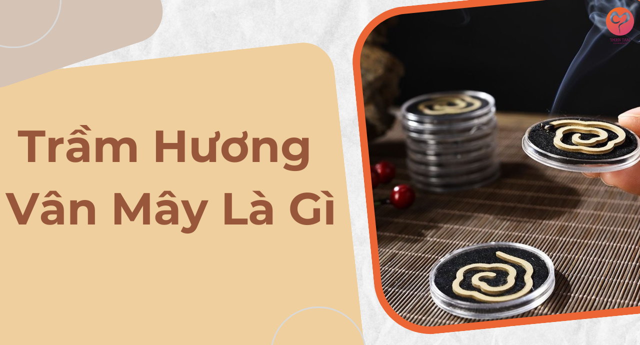 TRẦM HƯƠNG VÂN MÂY LÀ GÌ CÓ CÔNG DỤNG GÌ