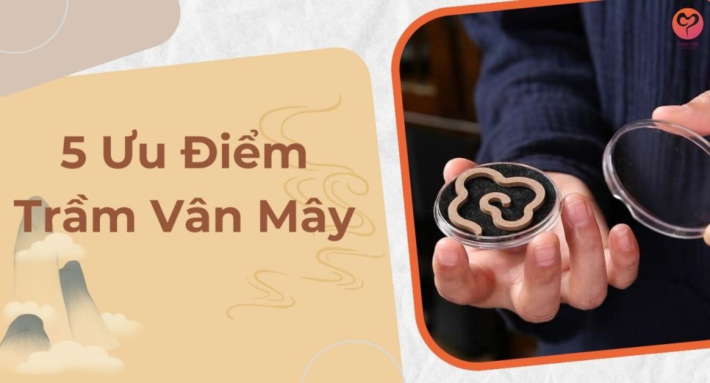 Ưu Điểm Vượt Trội Mà Trầm Vân Mây Mang Lại