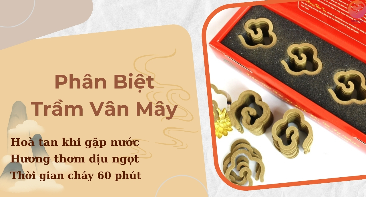 PHÂN BIỆT TRẦM HƯƠNG VÂN MÂY THƯỜNG VÀ TRẦM VÂN MÂY CAO CẤP
