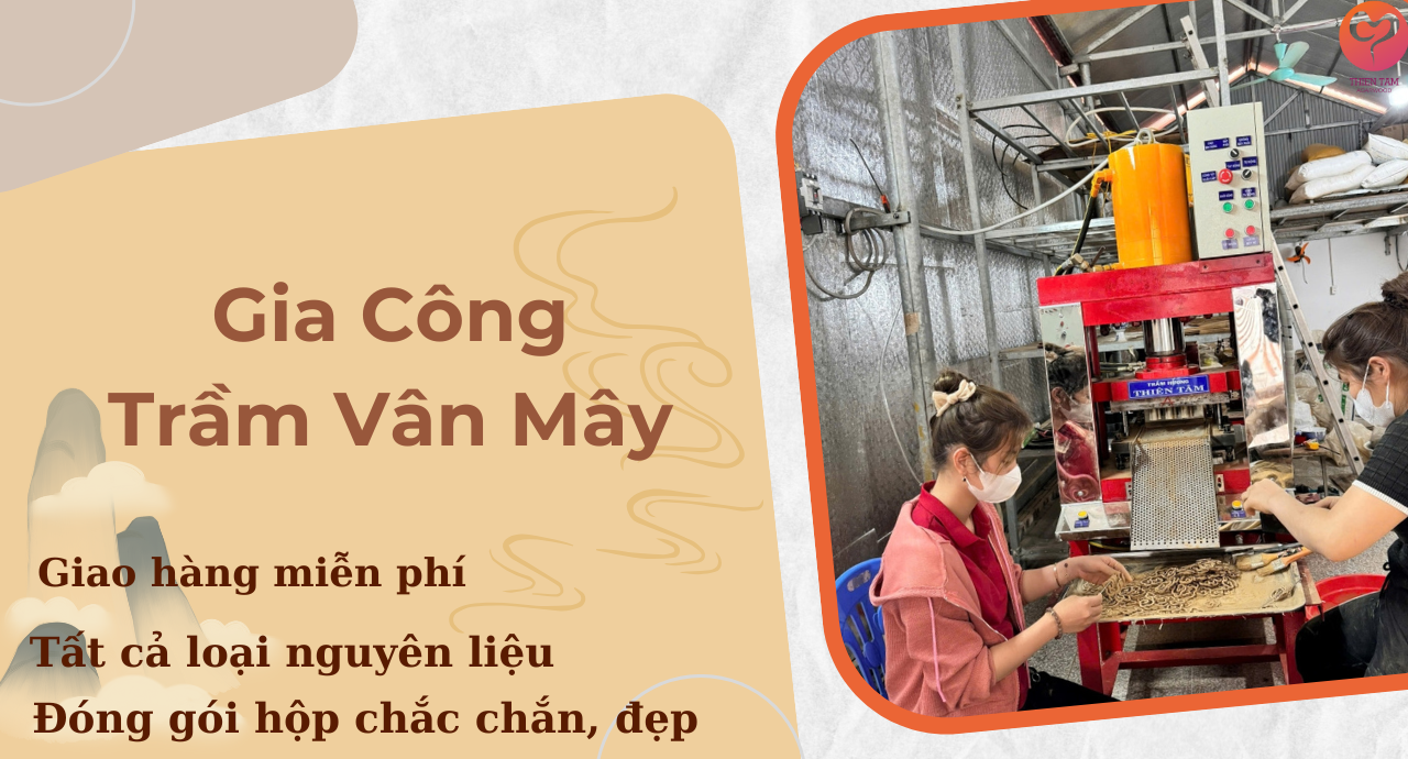 CHUYÊN GIA CÔNG TRẦM VÂN MÂY VÀ BÁN MÁY